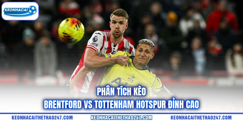 Phân tích kèo Brentford vs Tottenham Hotspur đỉnh cao Phân tích kèo Brentford vs Tottenham Hotspur đỉnh cao