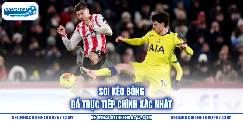 Soi kèo bóng đá trực tiếp chính xác nhất Soi kèo bóng đá trực tiếp chính xác nhất